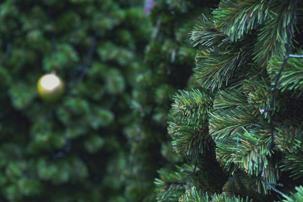 Christmas trees