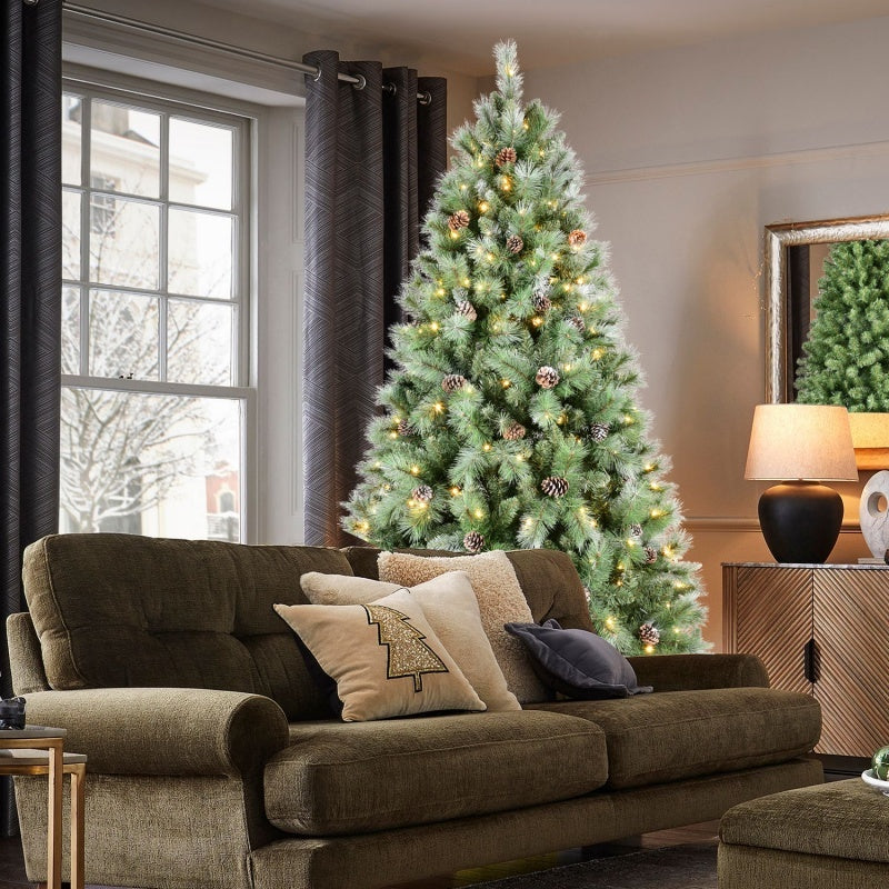 Timeless Evergreen Collection