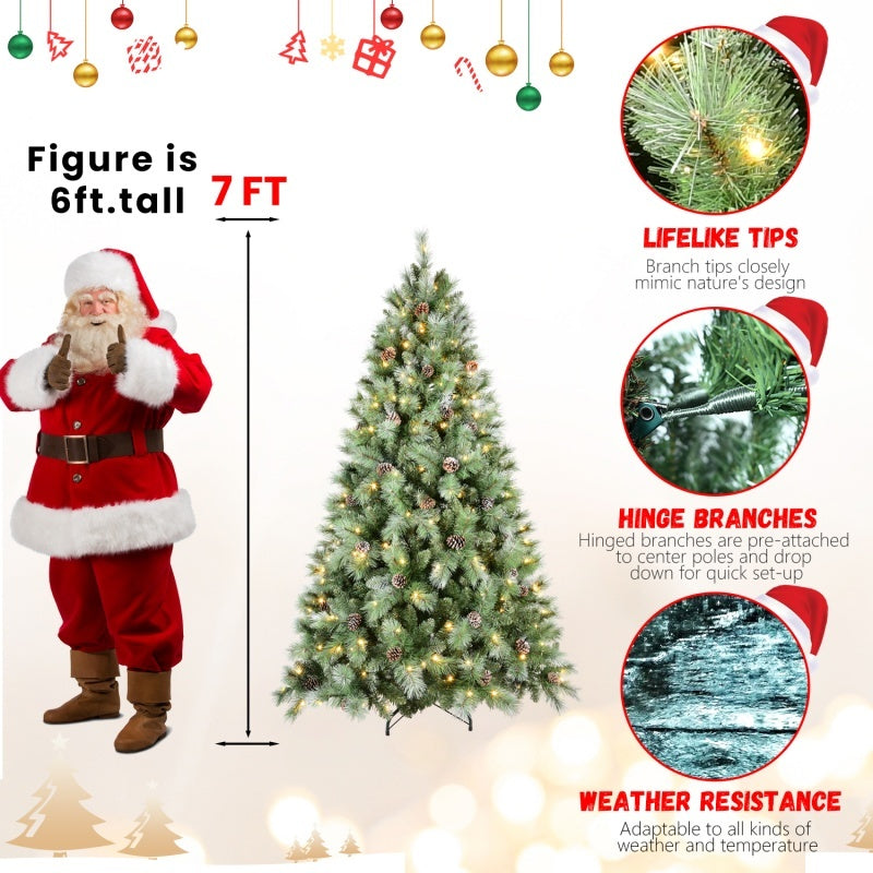 Timeless Evergreen Collection