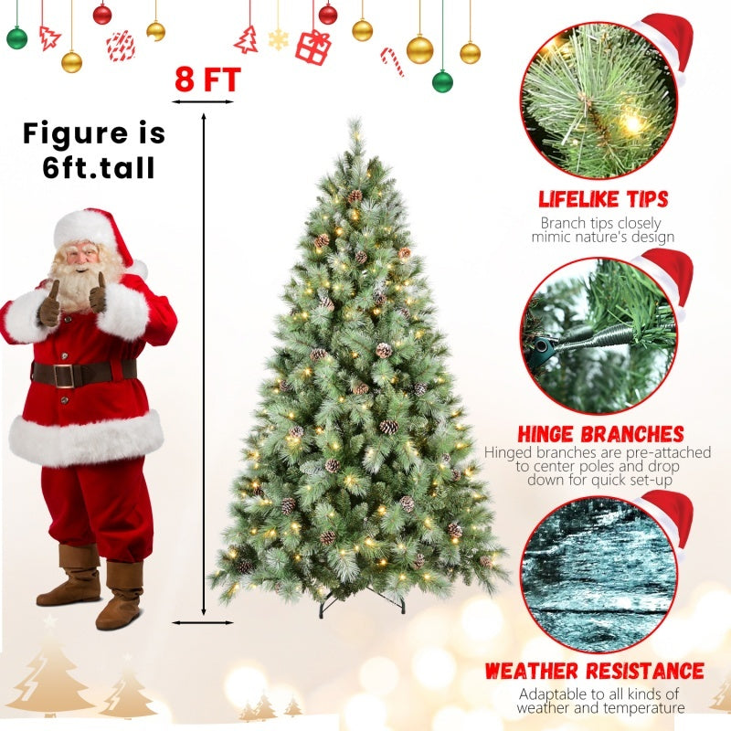 Timeless Evergreen Collection
