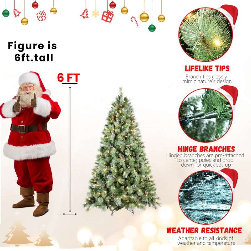 Timeless Evergreen Collection
