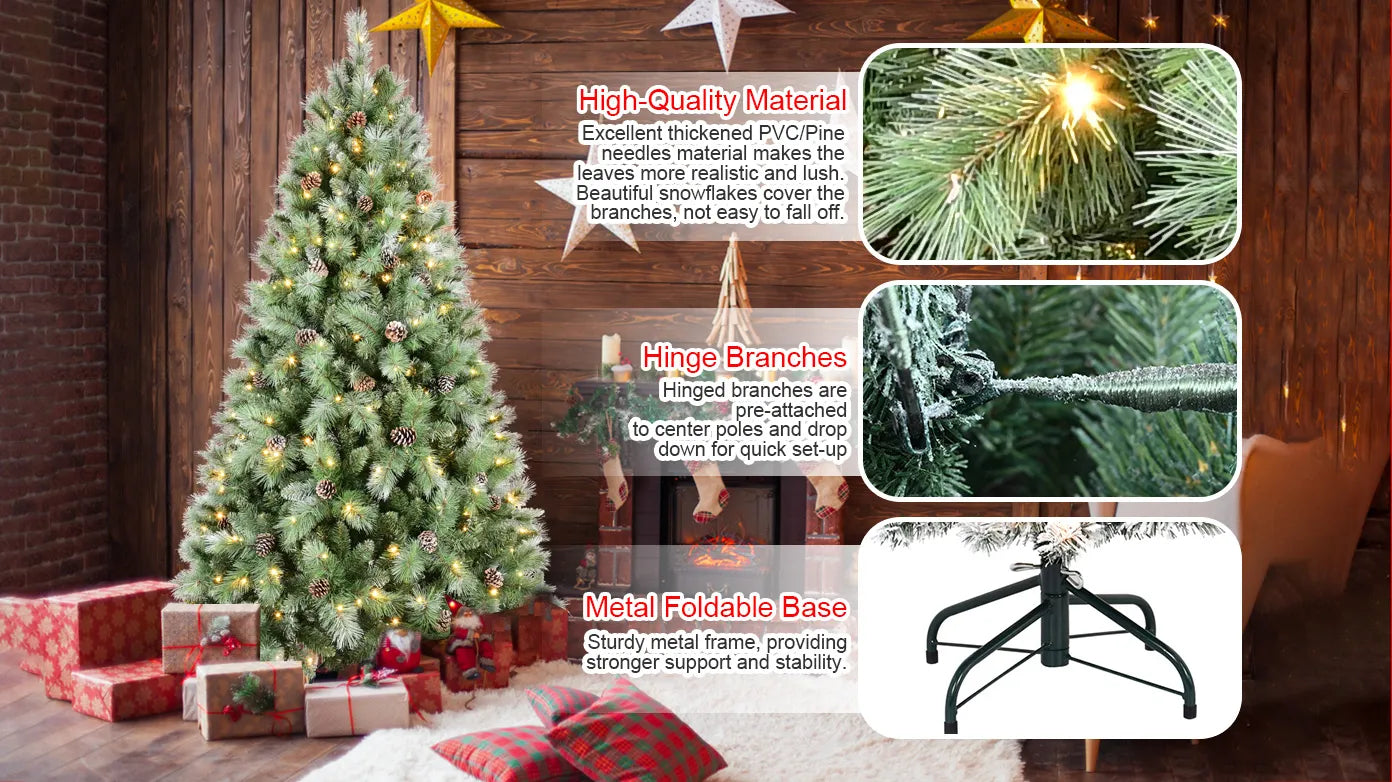Timeless Evergreen Collection