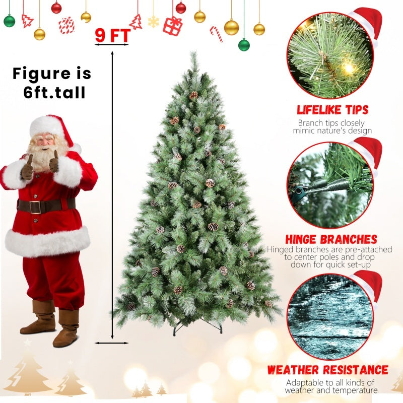 Timeless Evergreen Collection