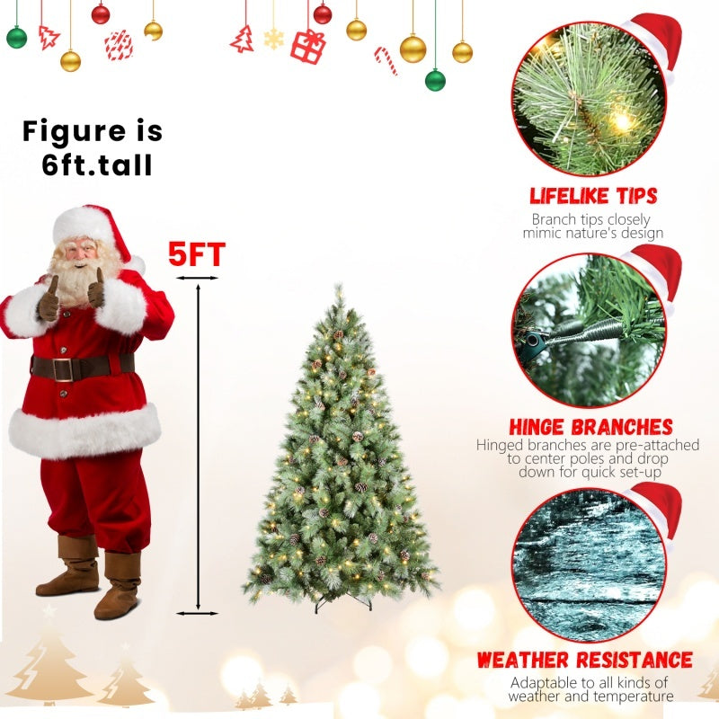 Timeless Evergreen Collection